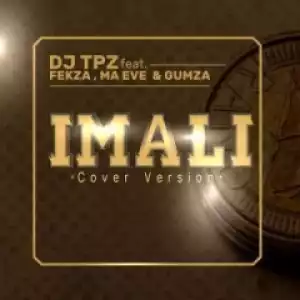 DJ TPZ - Imali (Cover Version) Ft. Fekza, Ma Eve & Gumza